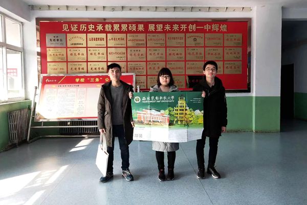 新澳门六合彩内部资料