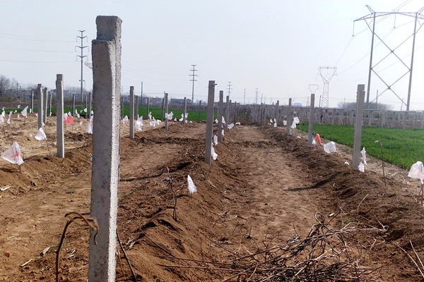 新澳门六合彩内部资料