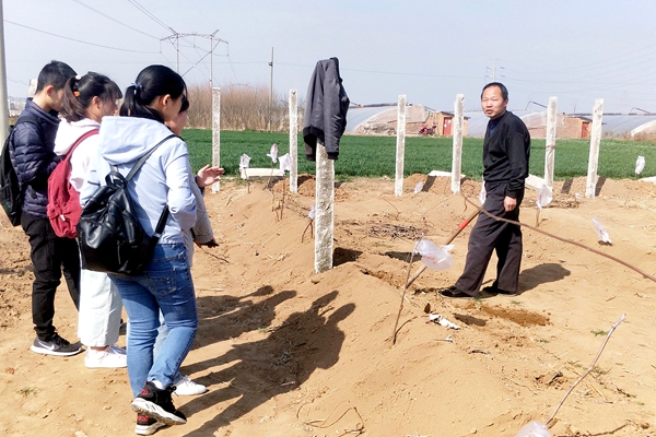 新澳门六合彩内部资料