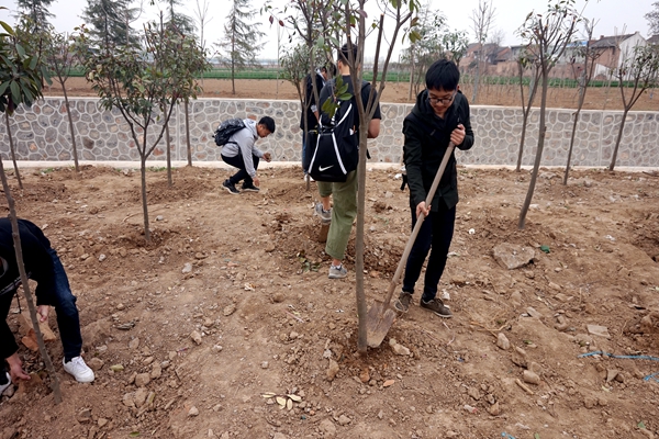 新澳门六合彩内部资料