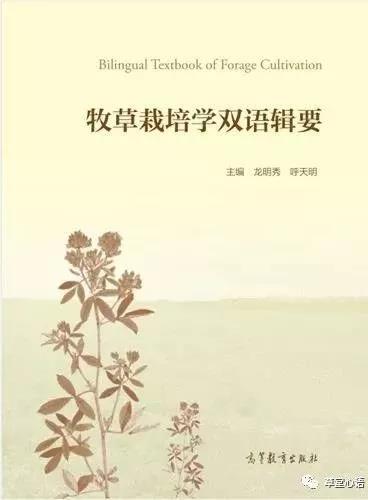 新澳门六合彩内部资料