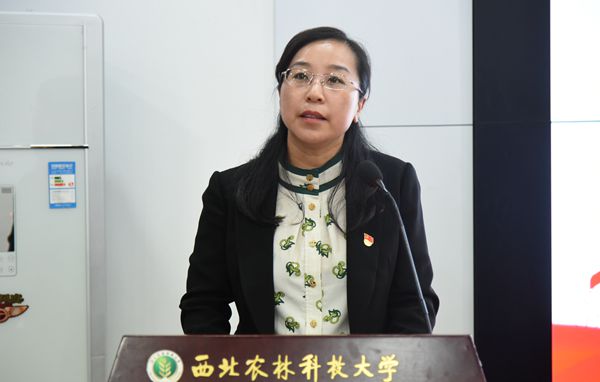 新澳门六合彩内部资料