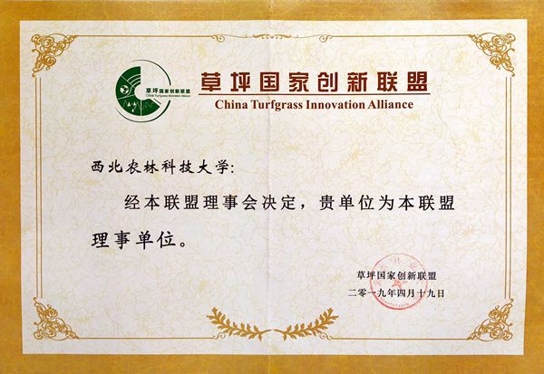 新澳门六合彩内部资料