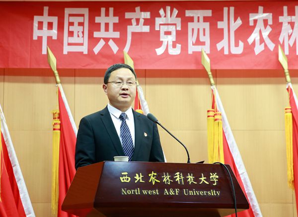 新澳门六合彩内部资料