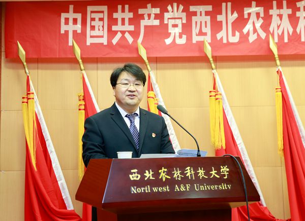 新澳门六合彩内部资料