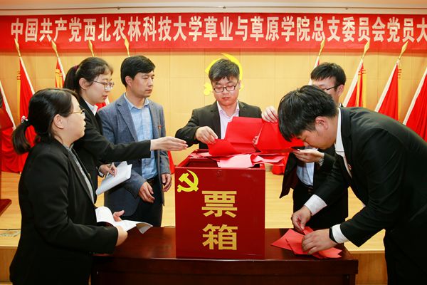 新澳门六合彩内部资料