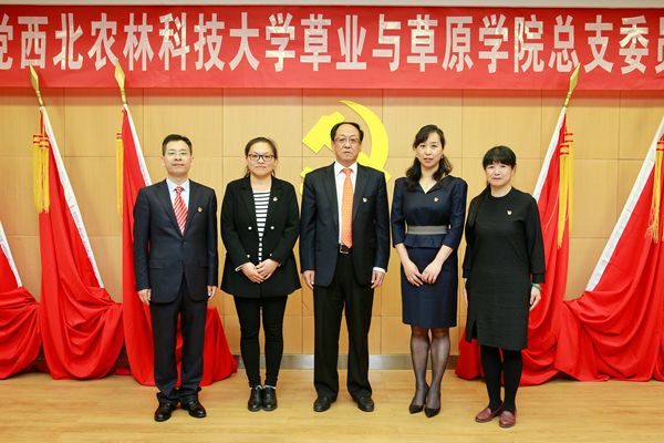 新澳门六合彩内部资料