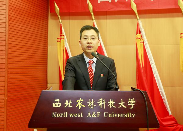 新澳门六合彩内部资料