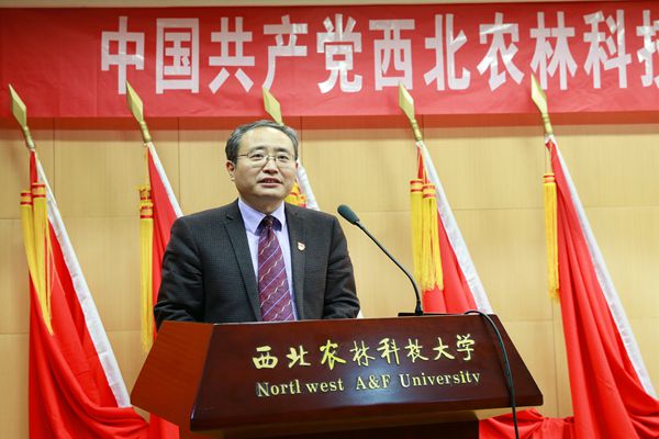 新澳门六合彩内部资料