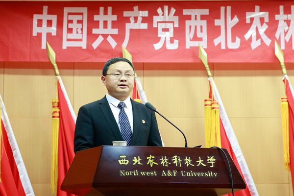 新澳门六合彩内部资料