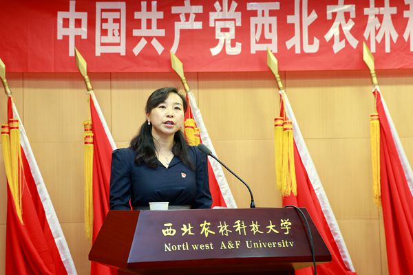 新澳门六合彩内部资料