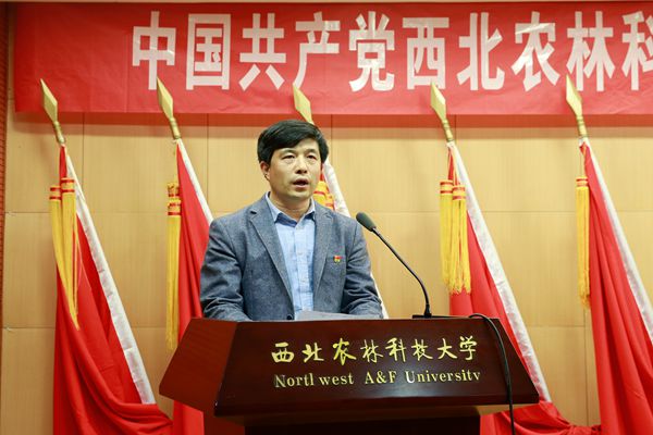 新澳门六合彩内部资料