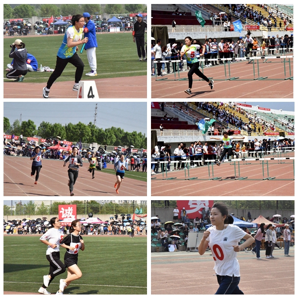 新澳门六合彩内部资料