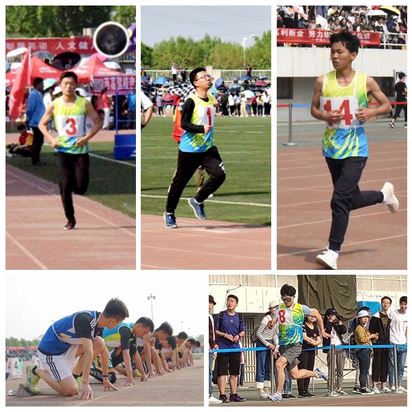 新澳门六合彩内部资料