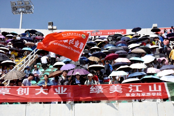 新澳门六合彩内部资料