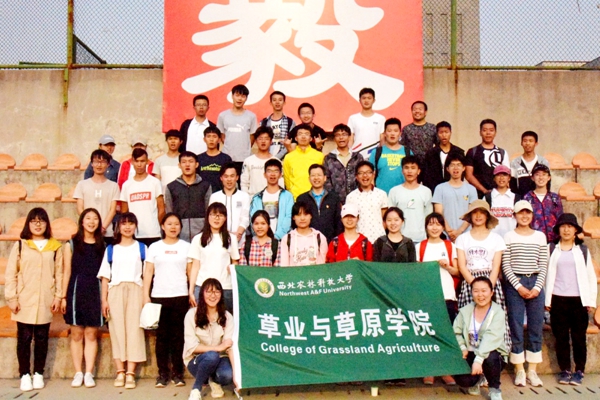 新澳门六合彩内部资料