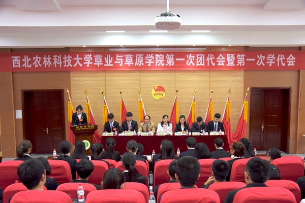 新澳门六合彩内部资料