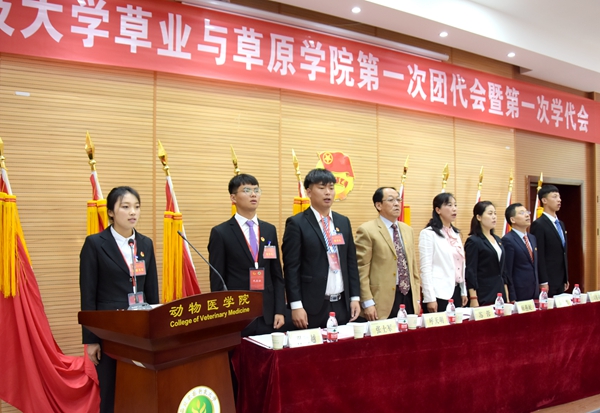 新澳门六合彩内部资料