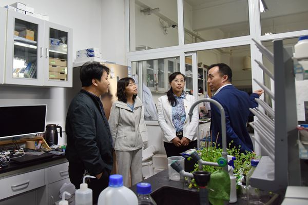 新澳门六合彩内部资料