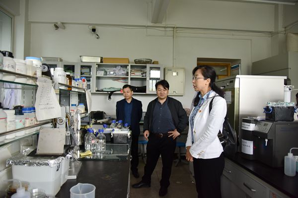 新澳门六合彩内部资料