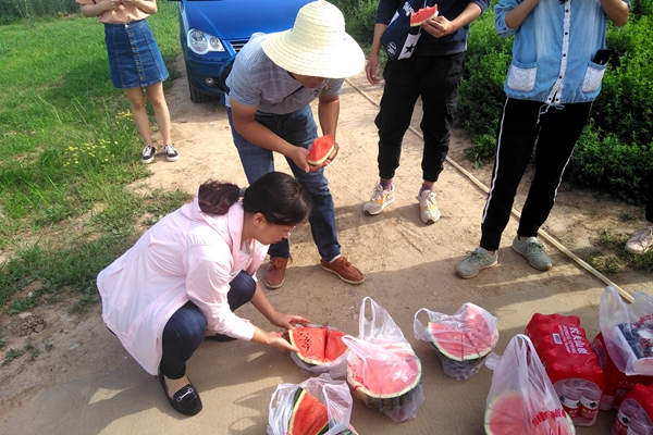 新澳门六合彩内部资料