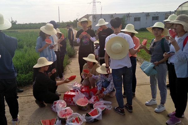 新澳门六合彩内部资料