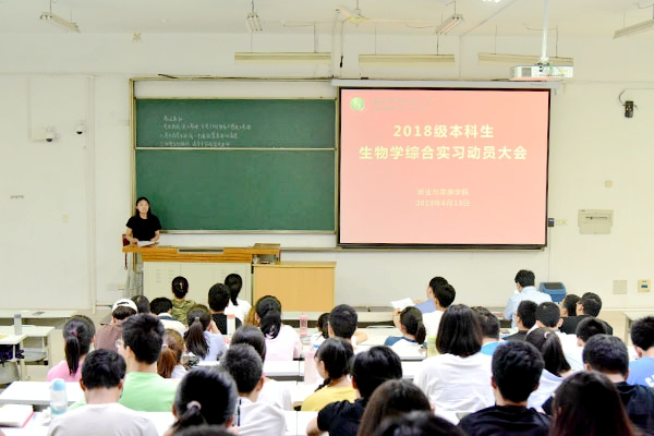 新澳门六合彩内部资料