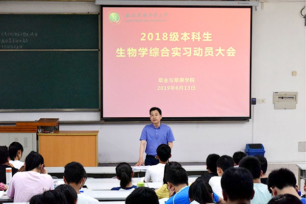 新澳门六合彩内部资料