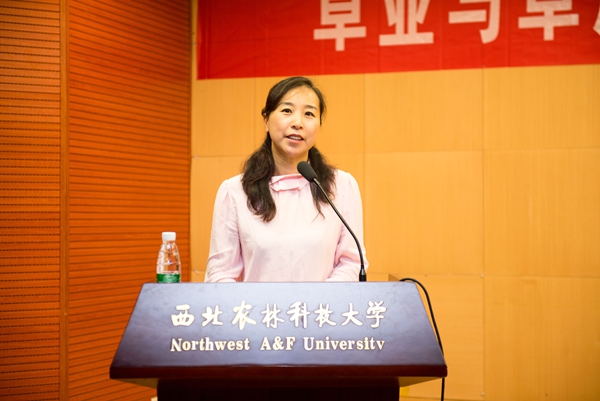 新澳门六合彩内部资料