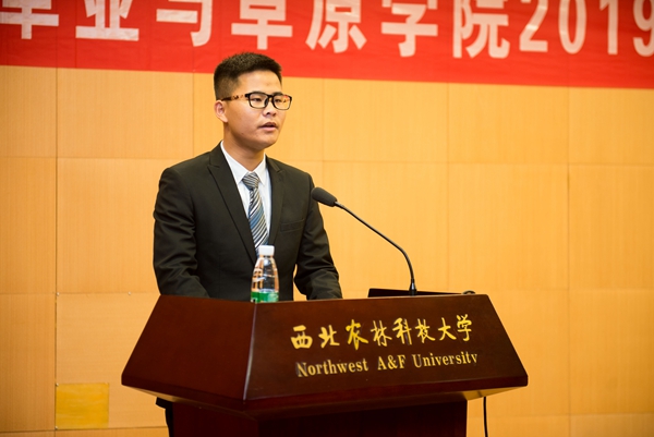 新澳门六合彩内部资料