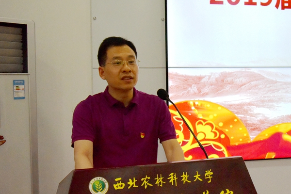 新澳门六合彩内部资料