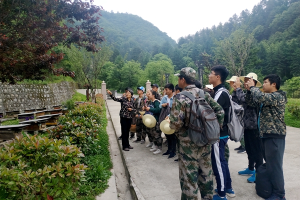 新澳门六合彩内部资料