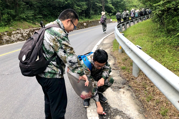 新澳门六合彩内部资料