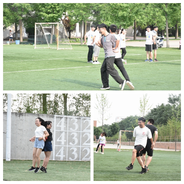 新澳门六合彩内部资料