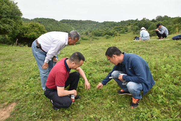 新澳门六合彩内部资料