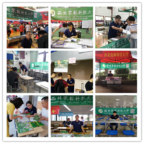 新澳门六合彩内部资料