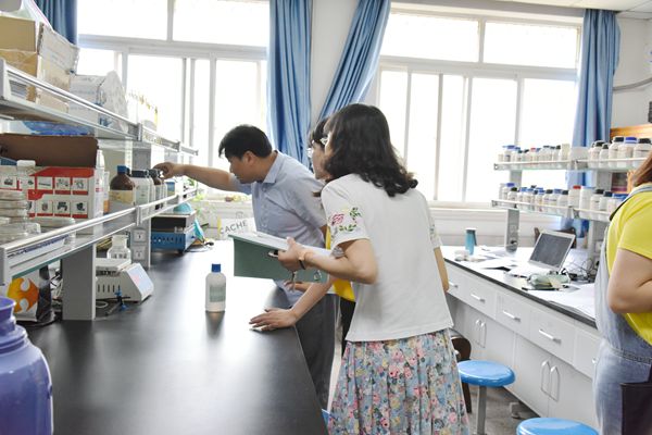 新澳门六合彩内部资料