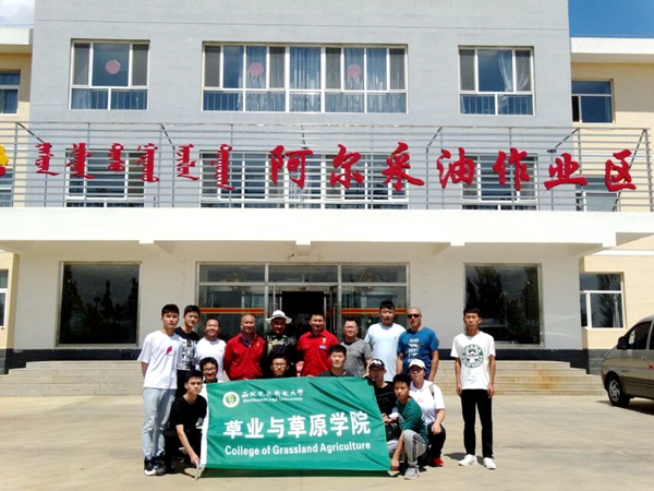 新澳门六合彩内部资料