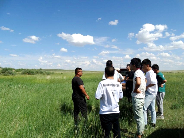 新澳门六合彩内部资料