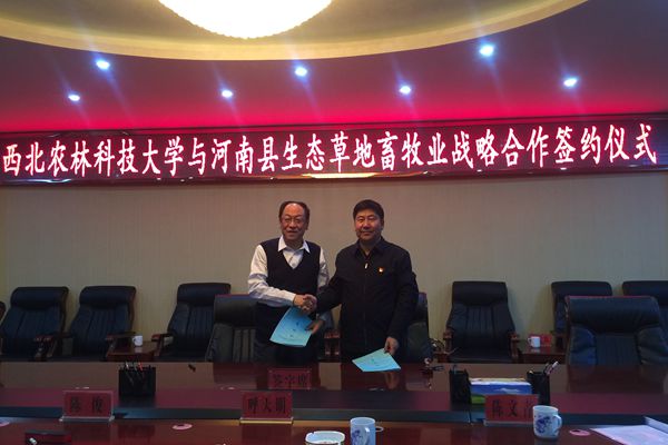 新澳门六合彩内部资料