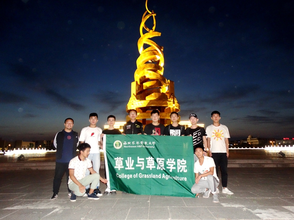 新澳门六合彩内部资料