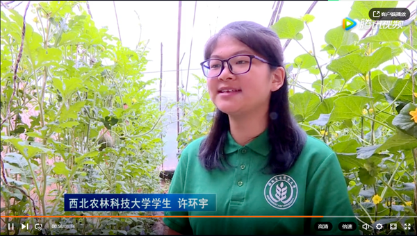 新澳门六合彩内部资料