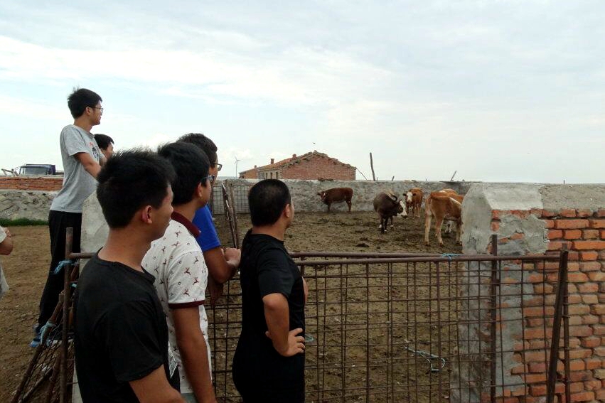 新澳门六合彩内部资料