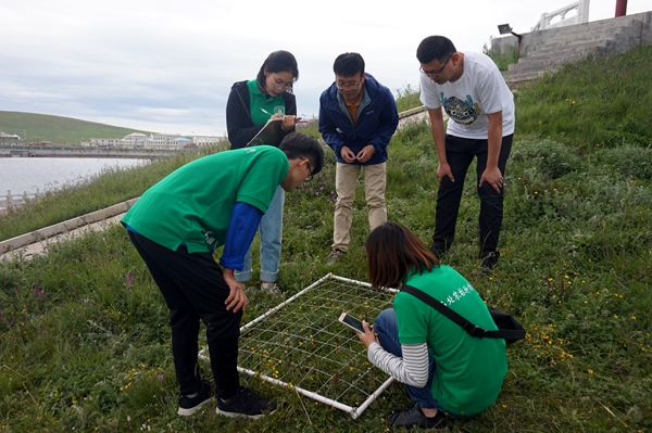 新澳门六合彩内部资料