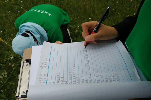 新澳门六合彩内部资料