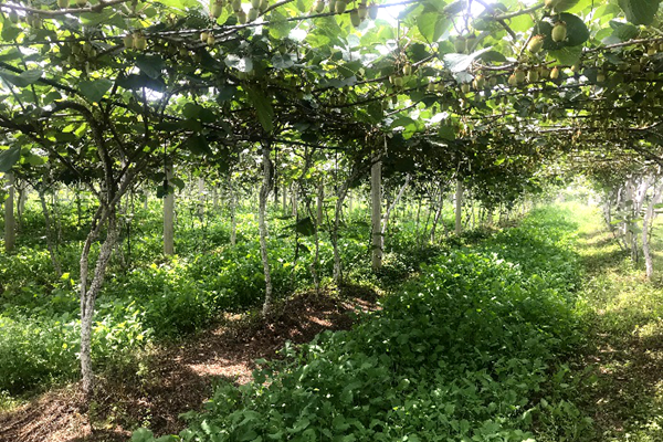 新澳门六合彩内部资料