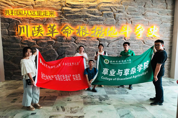 新澳门六合彩内部资料