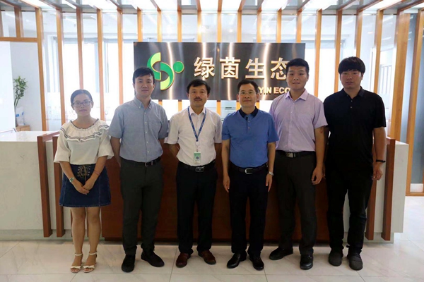 新澳门六合彩内部资料