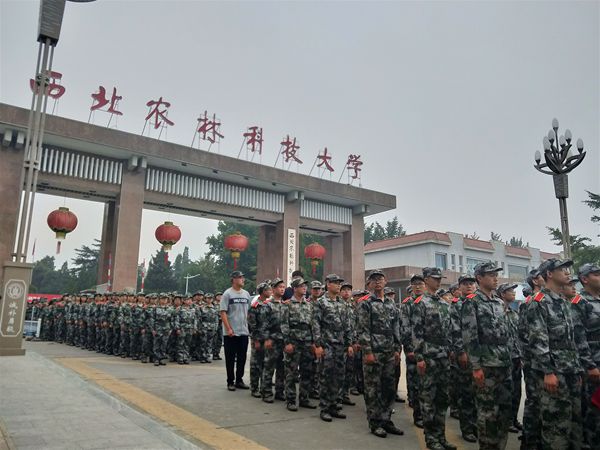 新澳门六合彩内部资料