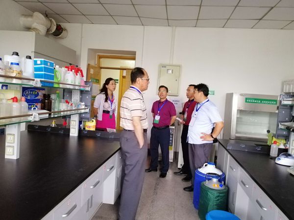 新澳门六合彩内部资料